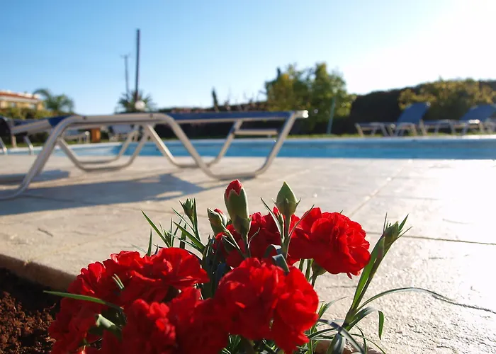 Mariandy 1 Bahía de Coral