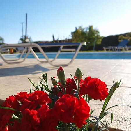 Mariandy 1 Mercan Koyu